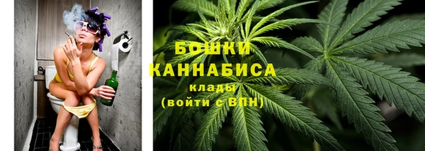 PSILOCYBIN Инта